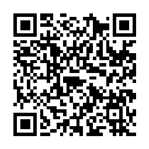 Link to your fundraiser QRCode - Fundraising