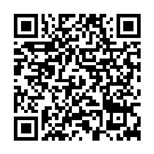 Link to your fundraiser QRCode - Fundraising
