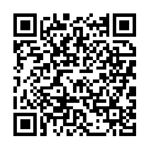 Link to your fundraiser QRCode - Fundraising