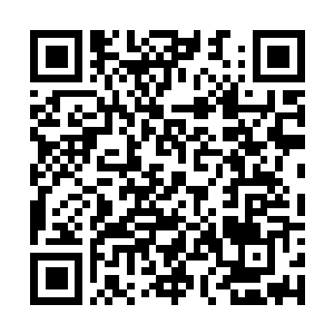 Link to your fundraiser QRCode - Fundraising