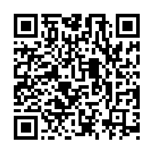 Link to your fundraiser QRCode - Fundraising