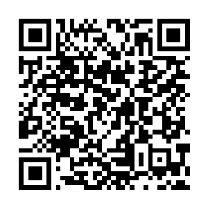 Link to your fundraiser QRCode - Fundraising