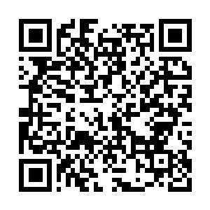 Link to your fundraiser QRCode - Fundraising