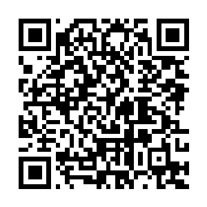 Link to your fundraiser QRCode - Fundraising