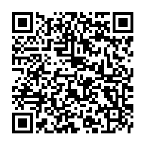 Link to your fundraiser QRCode - Fundraising