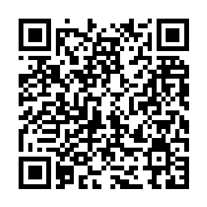 Link to your fundraiser QRCode - Fundraising