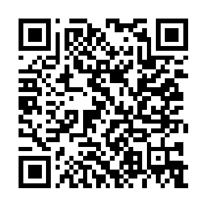 Link to your fundraiser QRCode - Fundraising