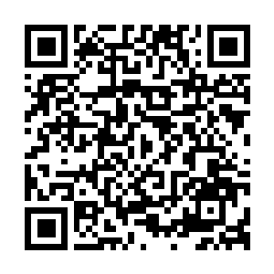 Link to your fundraiser QRCode - Fundraising