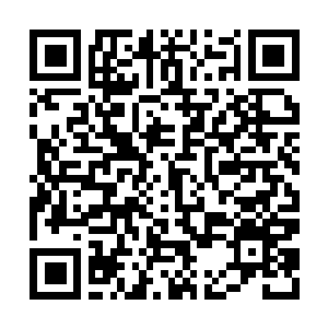 Link to your fundraiser QRCode - Fundraising