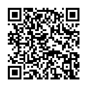 Link to your fundraiser QRCode - Fundraising