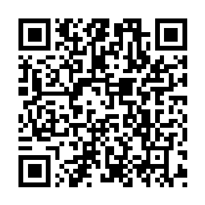 Link to your fundraiser QRCode - Fundraising