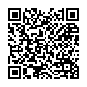 Link to your fundraiser QRCode - Fundraising