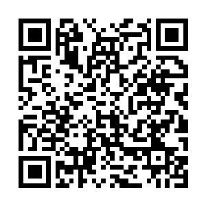Link to your fundraiser QRCode - Fundraising