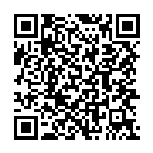Link to your fundraiser QRCode - Fundraising