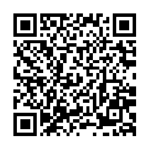 Link to your fundraiser QRCode - Fundraising