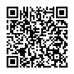 Link to your fundraiser QRCode - Fundraising