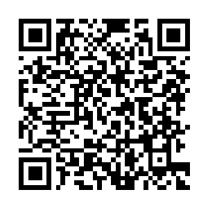 Link to your fundraiser QRCode - Fundraising
