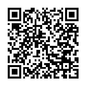 Link to your fundraiser QRCode - Fundraising