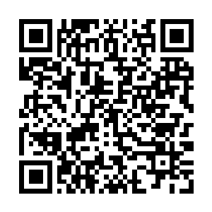 Link to your fundraiser QRCode - Fundraising