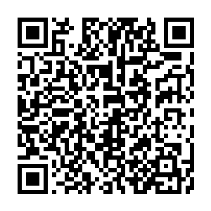 Link to your fundraiser QRCode - Fundraising