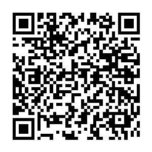 Link to your fundraiser QRCode - Fundraising