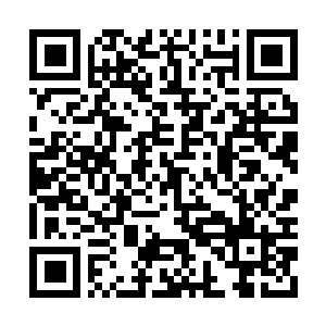 Link to your fundraiser QRCode - Fundraising