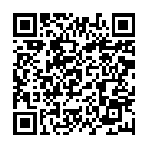 Link to your fundraiser QRCode - Fundraising