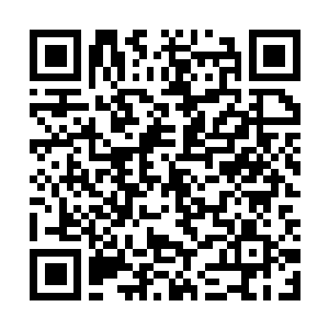 Link to your fundraiser QRCode - Fundraising