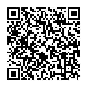 Link to your fundraiser QRCode - Fundraising