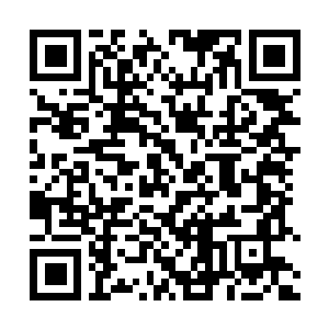 Link to your fundraiser QRCode - Fundraising