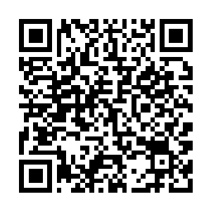 Link to your fundraiser QRCode - Fundraising