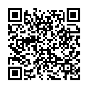 Link to your fundraiser QRCode - Fundraising