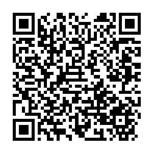 Link to your fundraiser QRCode - Fundraising