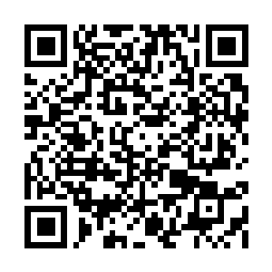 Link to your fundraiser QRCode - Fundraising