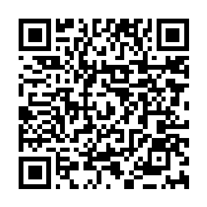 Link to your fundraiser QRCode - Fundraising