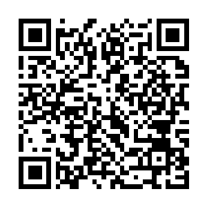 Link to your fundraiser QRCode - Fundraising
