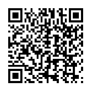 Link to your fundraiser QRCode - Fundraising