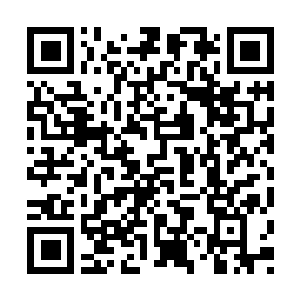Link to your fundraiser QRCode - Fundraising