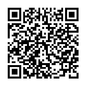 Link to your fundraiser QRCode - Fundraising