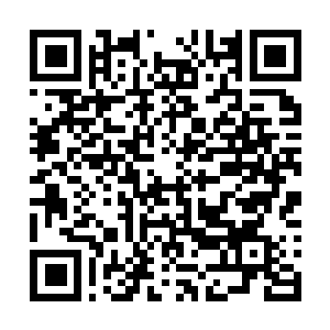 Link to your fundraiser QRCode - Fundraising