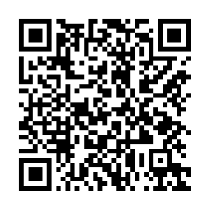 Link to your fundraiser QRCode - Fundraising