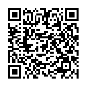 Link to your fundraiser QRCode - Fundraising