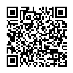 Link to your fundraiser QRCode - Fundraising