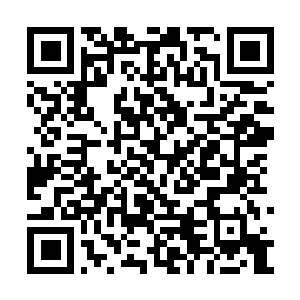 Link to your fundraiser QRCode - Fundraising