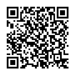 Link to your fundraiser QRCode - Fundraising