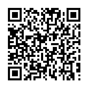Link to your fundraiser QRCode - Fundraising