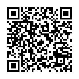 Link to your fundraiser QRCode - Fundraising