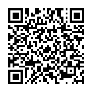 Link to your fundraiser QRCode - Fundraising