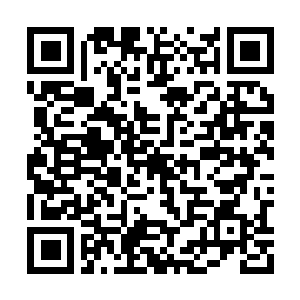 Link to your fundraiser QRCode - Fundraising