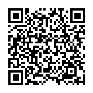 Link to your fundraiser QRCode - Fundraising